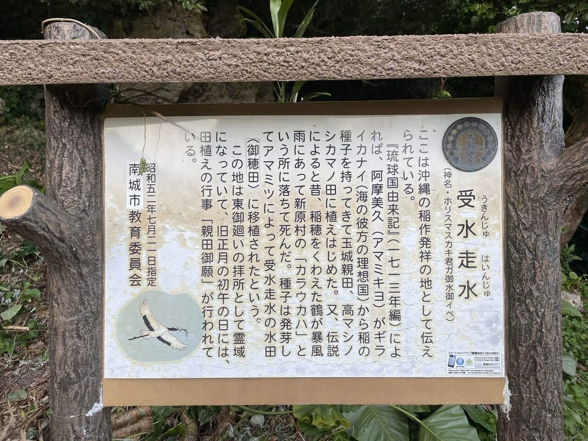 画像175