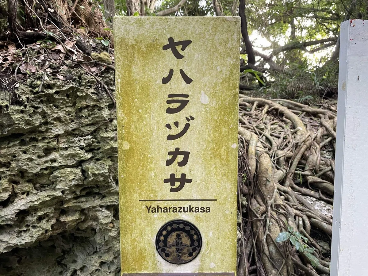 画像178
