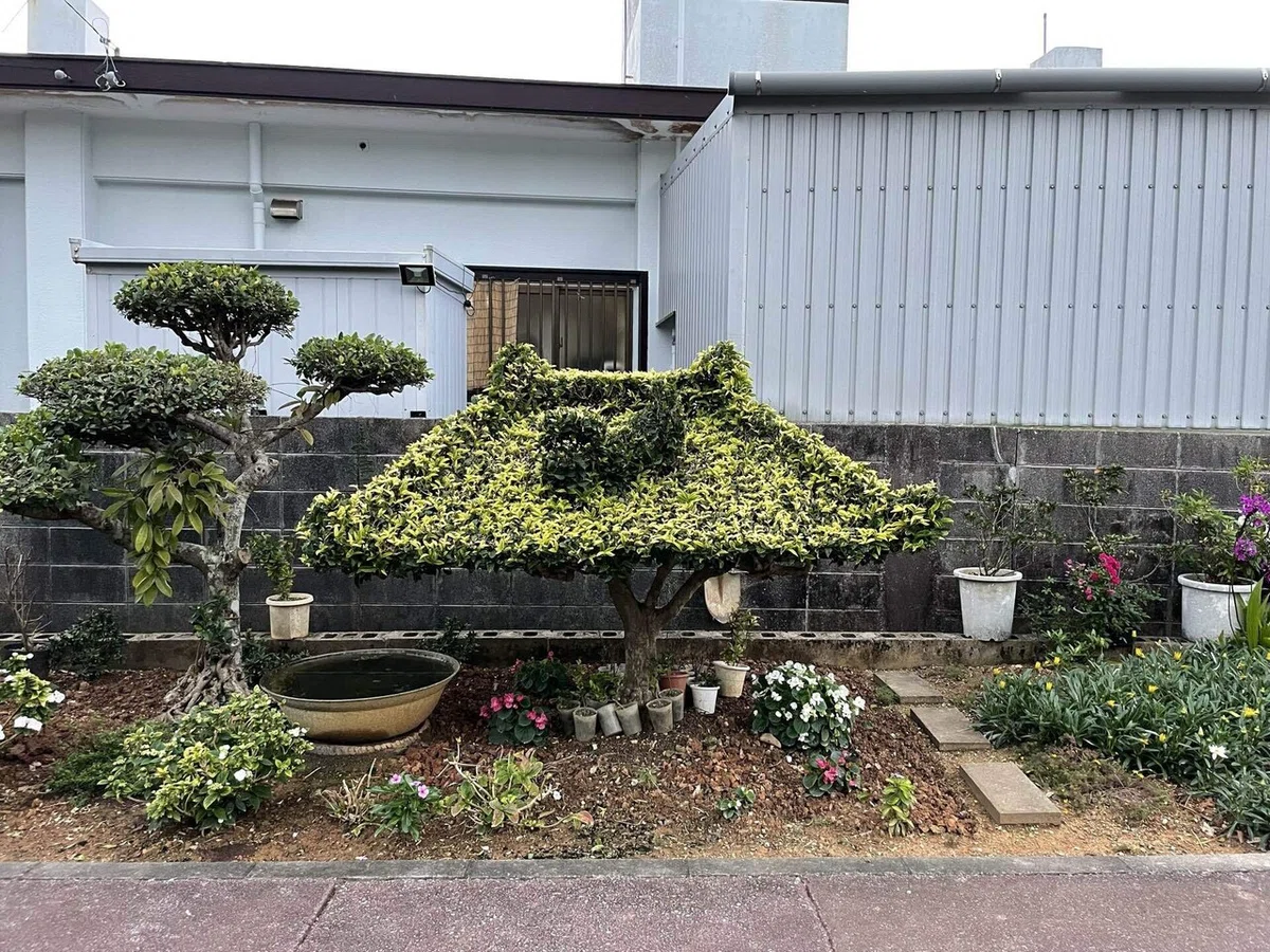 画像191
