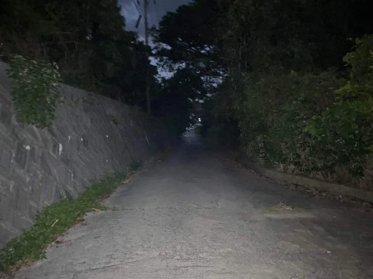 画像207