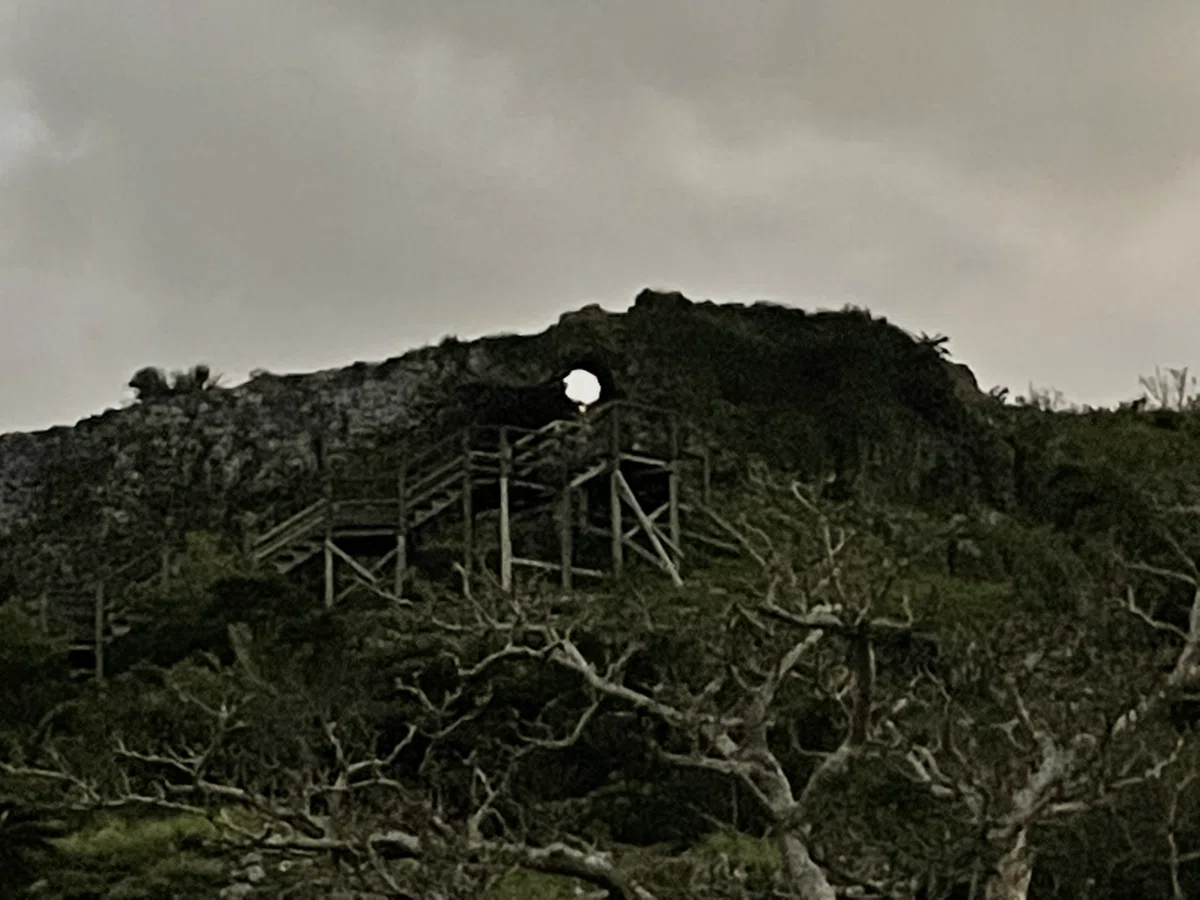 画像203