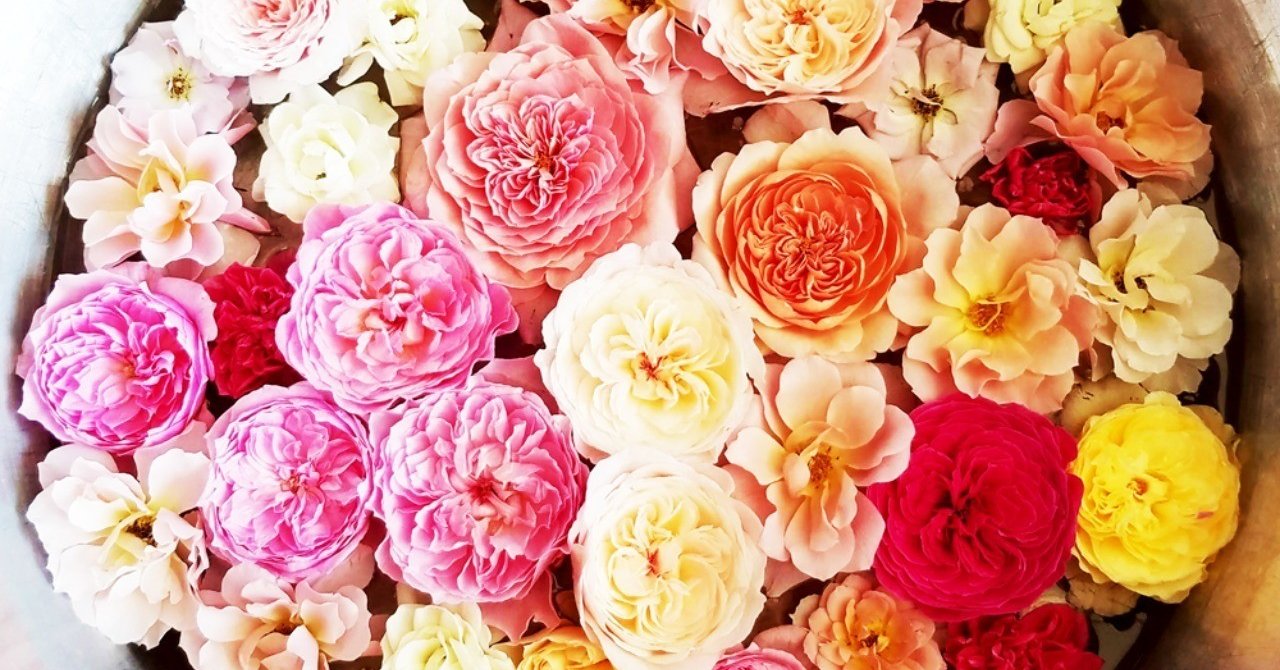 100本のバラが似合う男へのトレーニング 土田賢一 Note