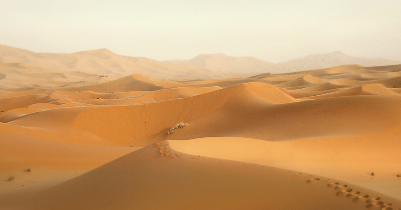 砂の迷宮