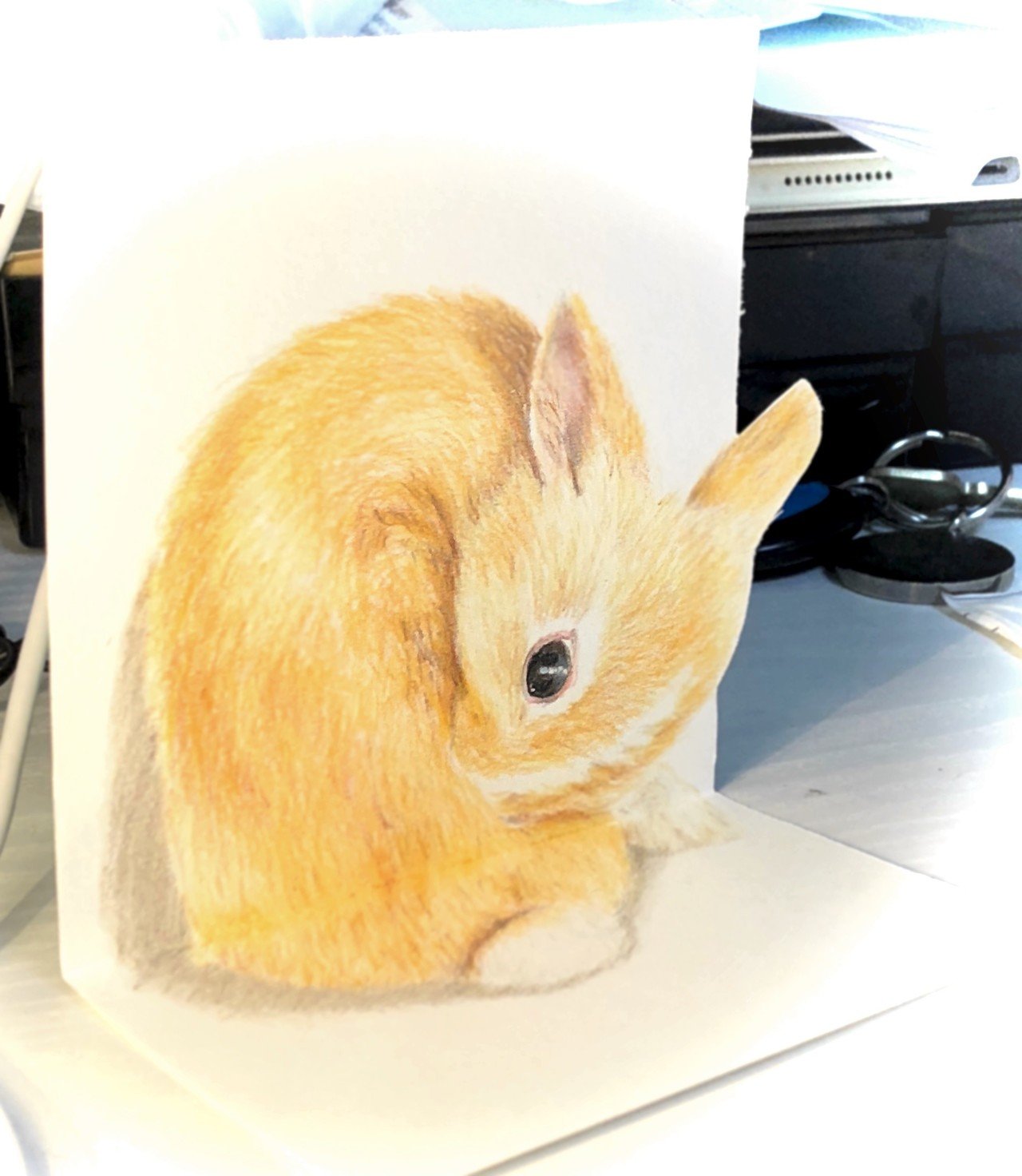 毛づくろいする子うさぎ Angelrabbits Note