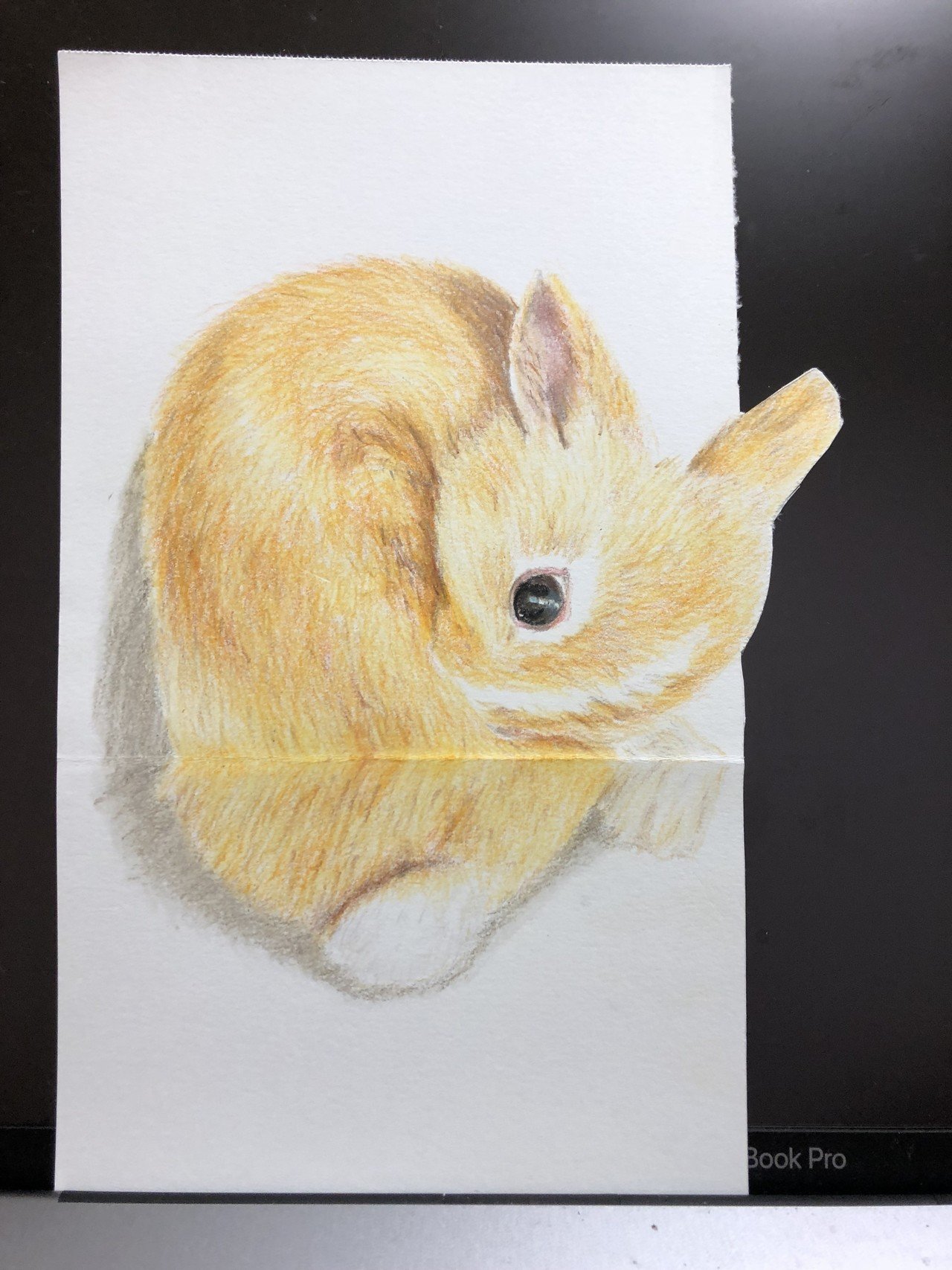 毛づくろいする子うさぎ Angelrabbits Note