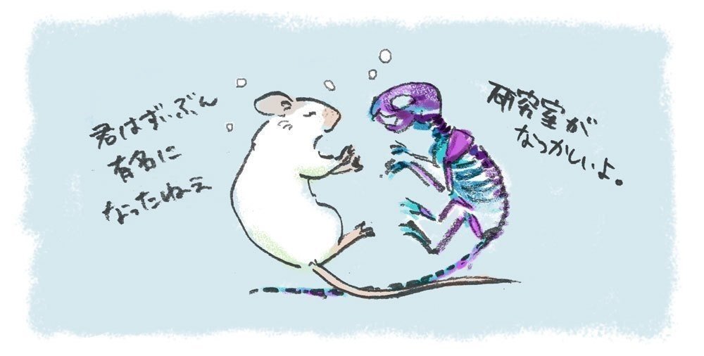 標本のすすめ 液浸標本 ホルマリン漬け の管理方法 Miomori ミオモリ Note 標本のすすめ 液浸標本 ホルマリン漬け の管理方法 Miomori ミオモリ Note