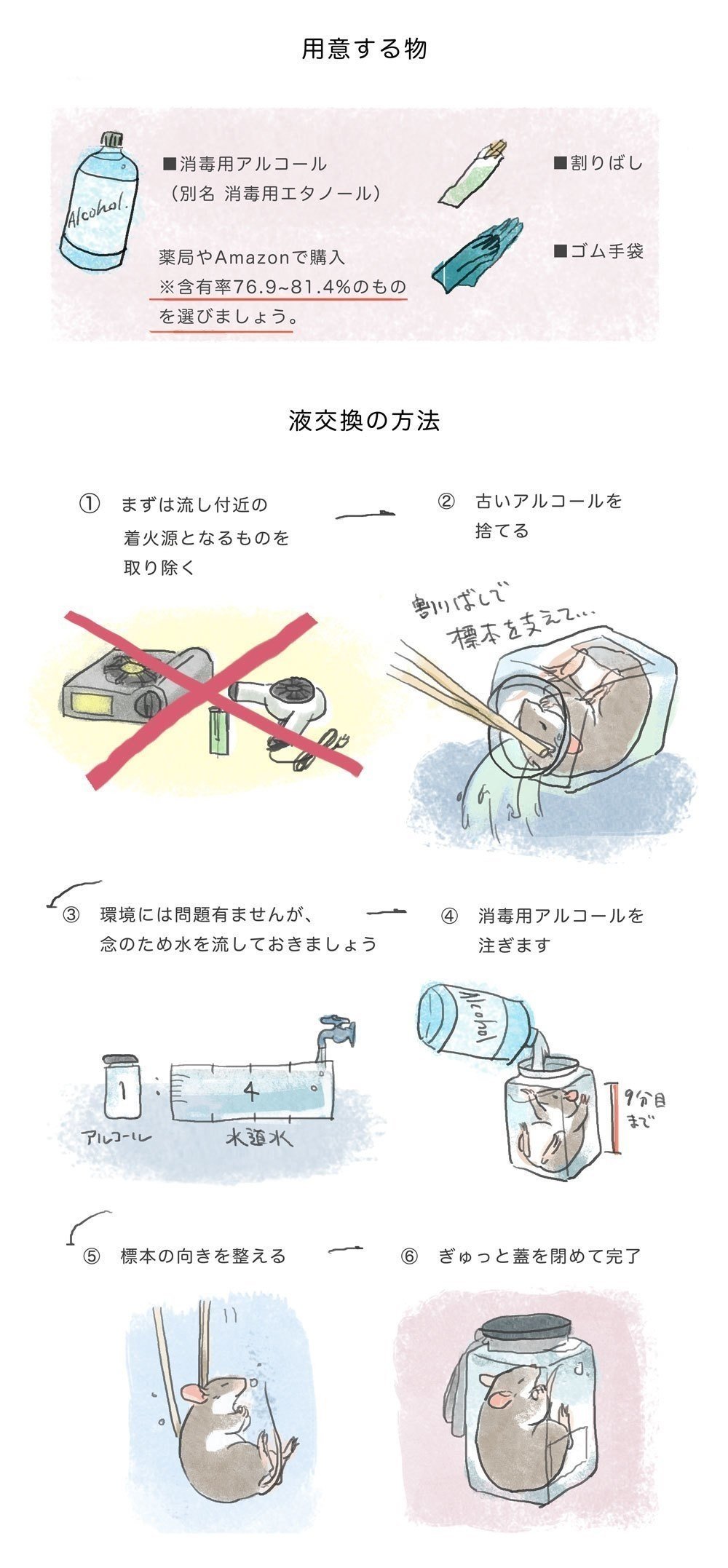 ホルマリン漬け 液体標本 カエル ホルマリン漬け 液体標本