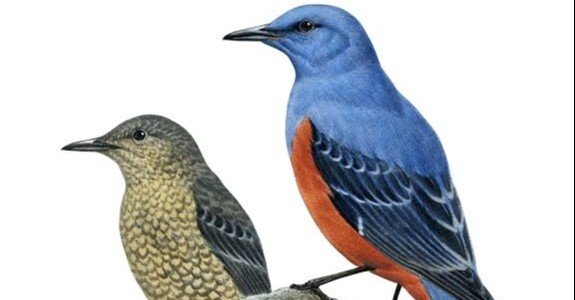 5ea3bcad37cb9726ad10c8e1a759fd