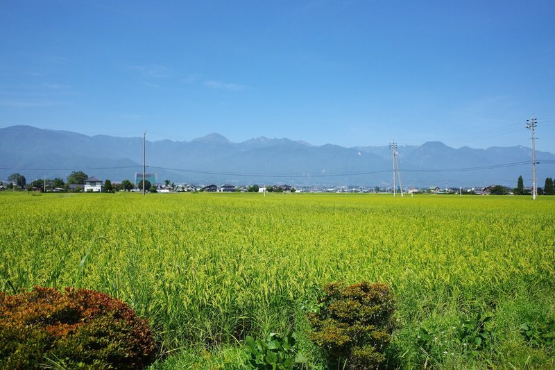 画像23