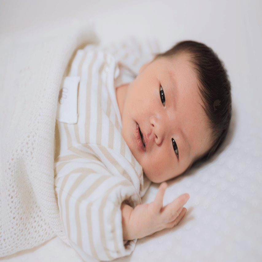 我が家に赤ちゃんがやってきた Don Note