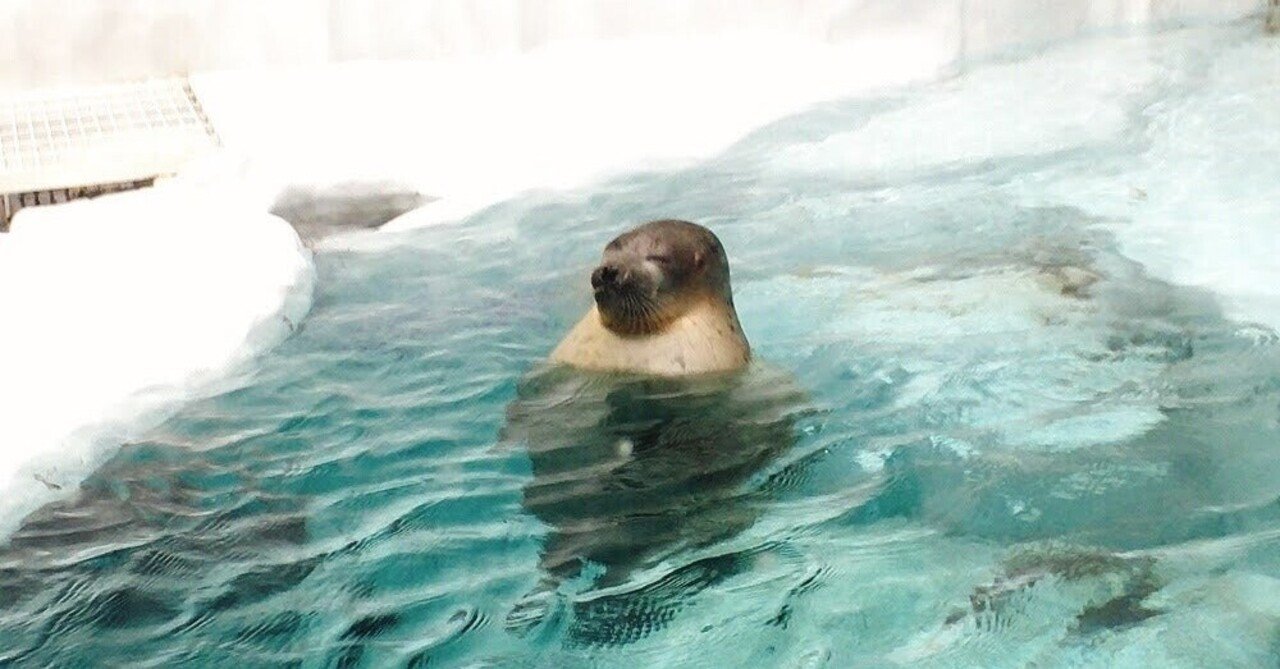 ウェッデルアザラシ の新着タグ記事一覧 Note つくる つながる とどける ウェッデルアザラシ の新着タグ記事一覧 Note つくる つながる とどける