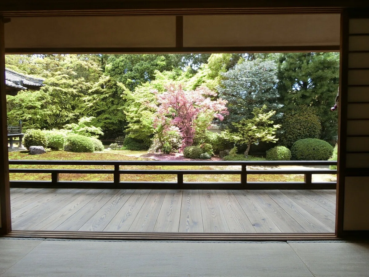 画像7
