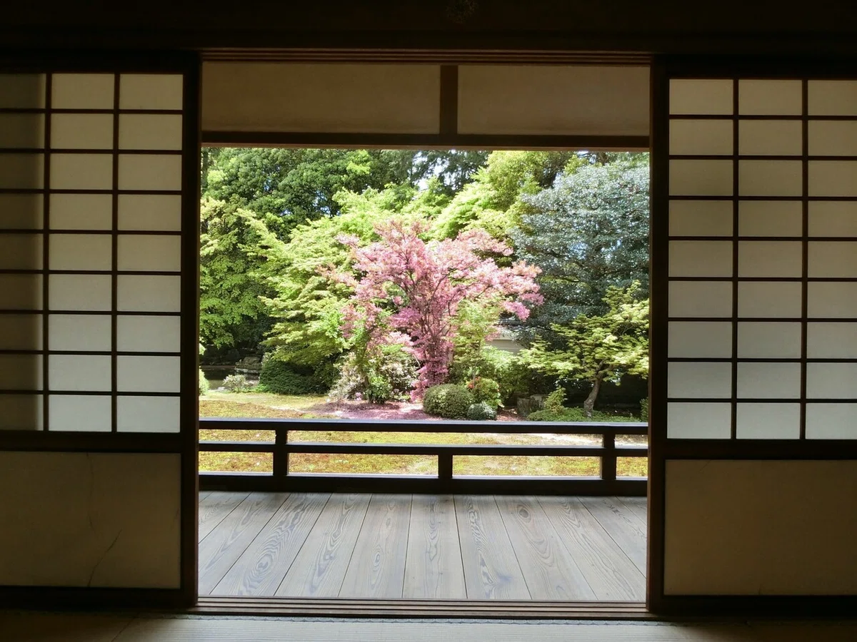 画像9