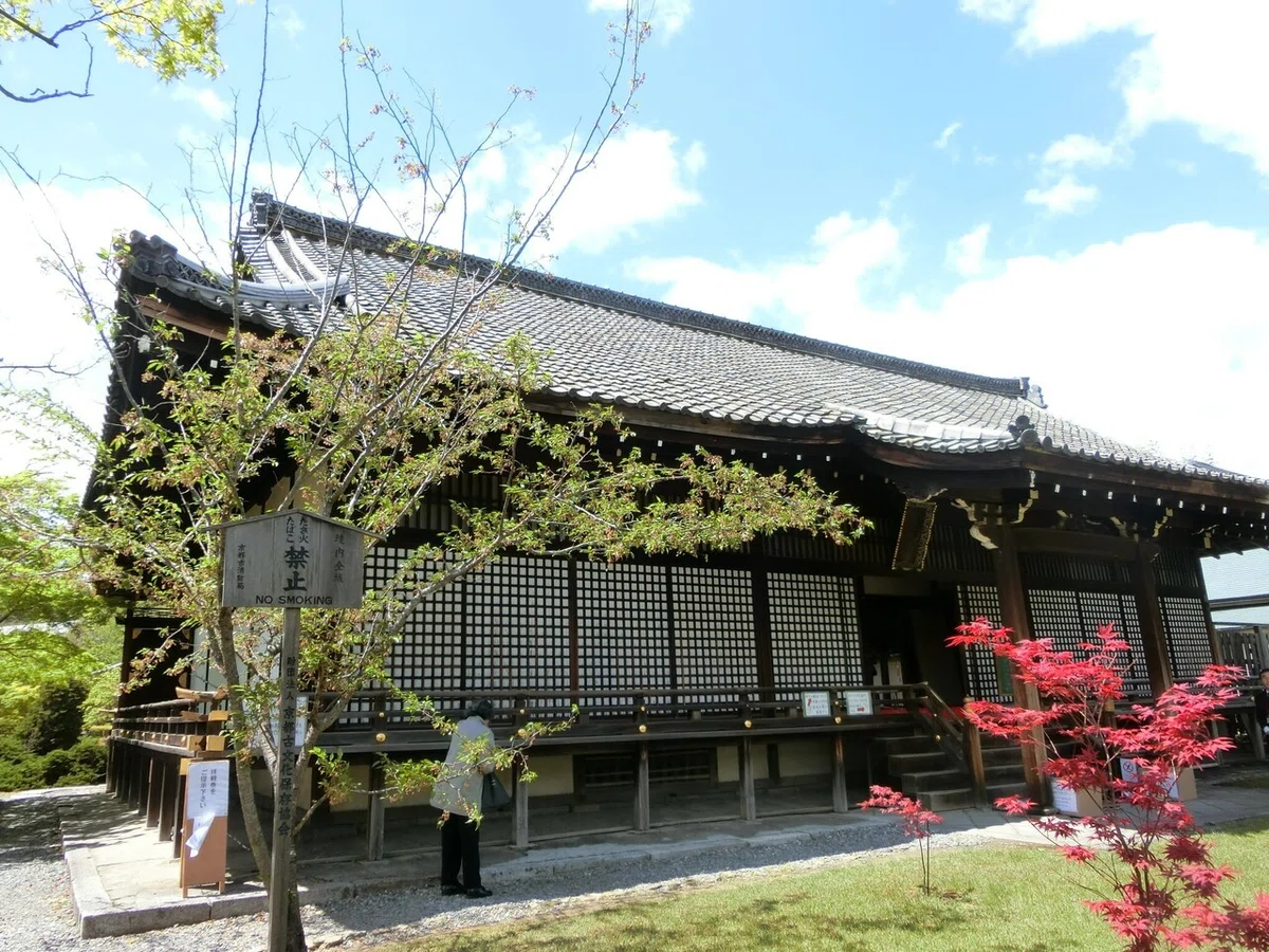 画像5