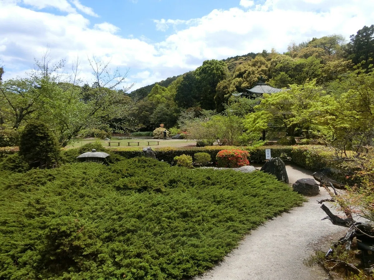 画像8