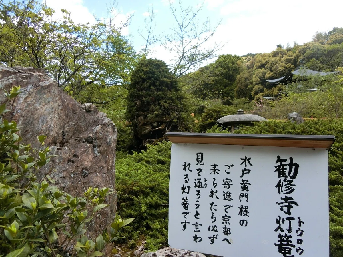 画像11