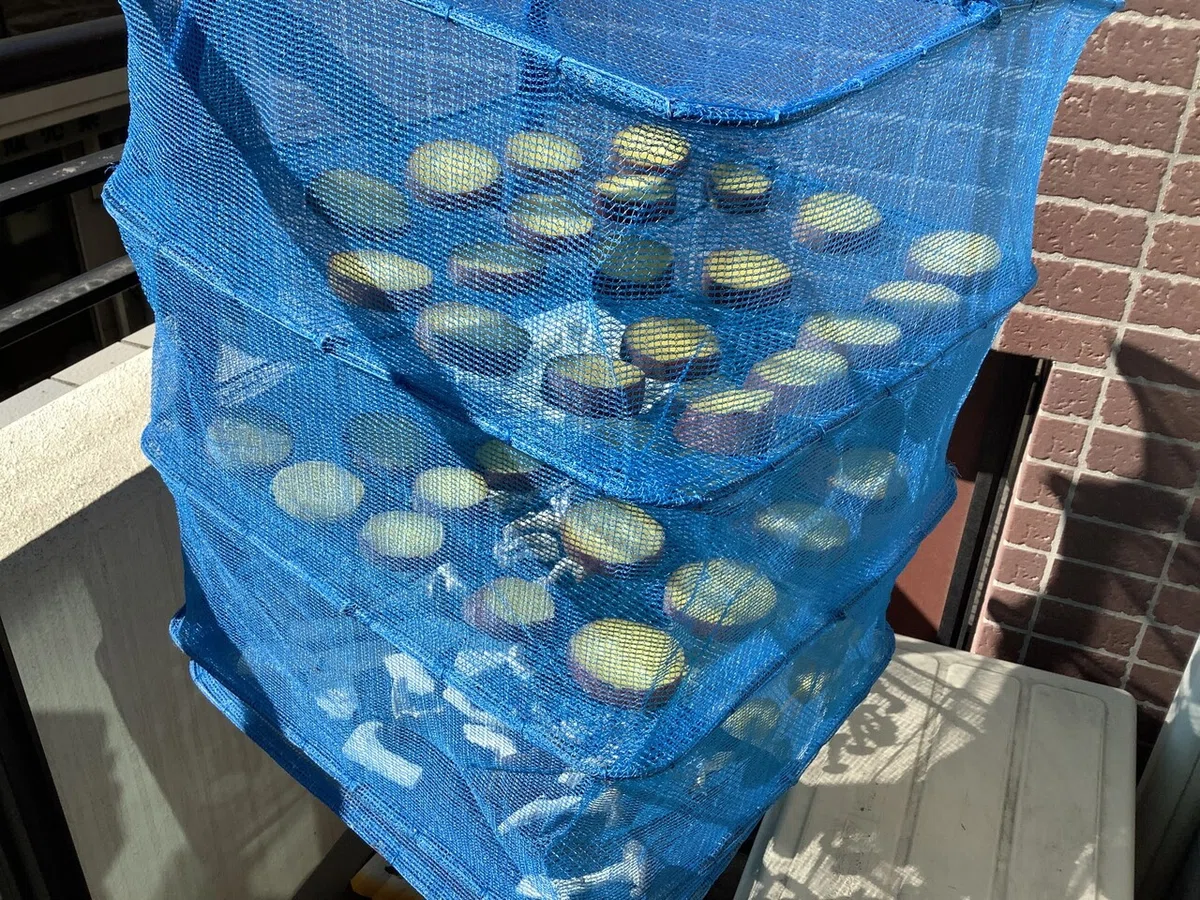 画像19