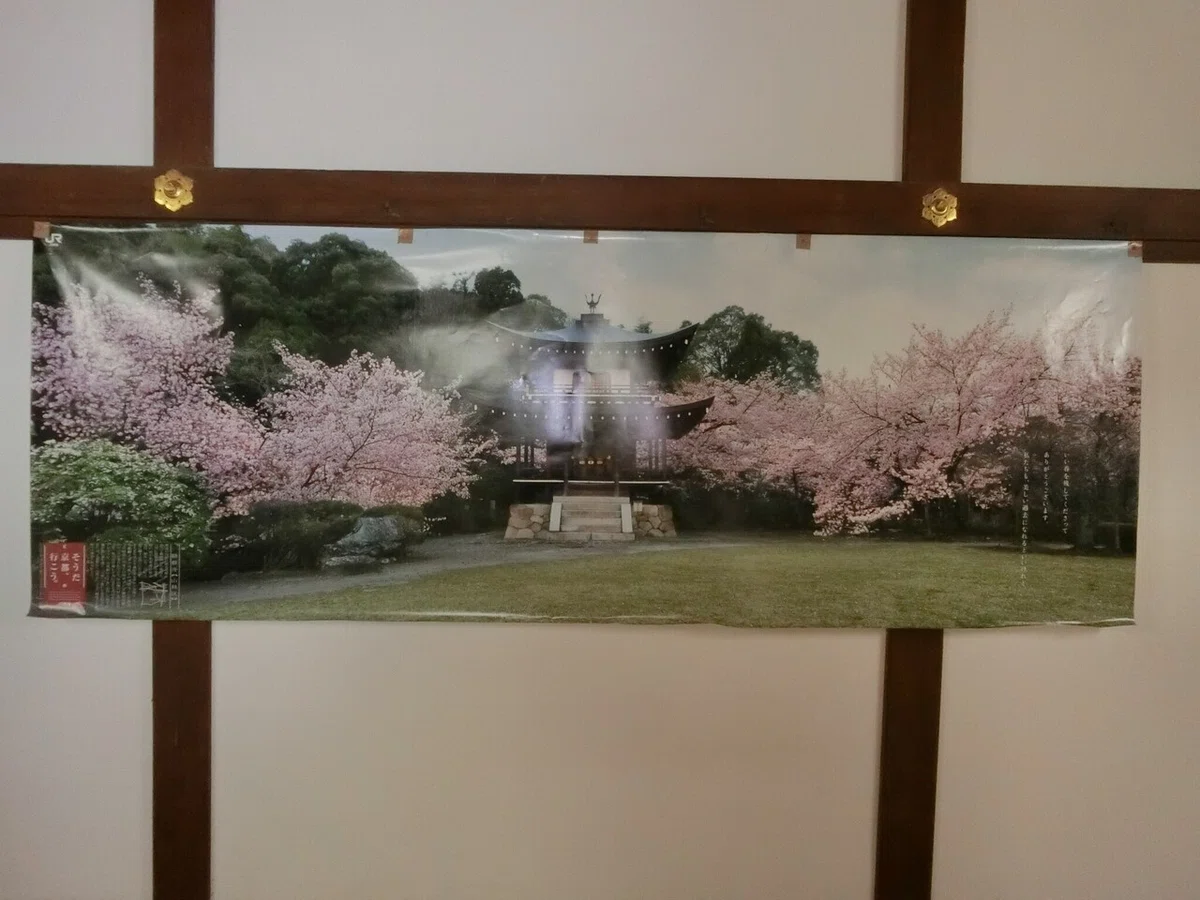 画像14