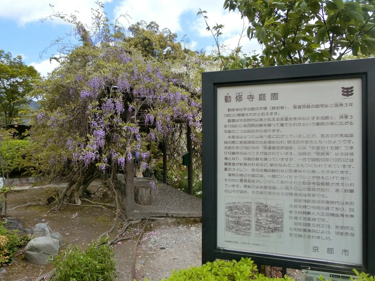 画像17