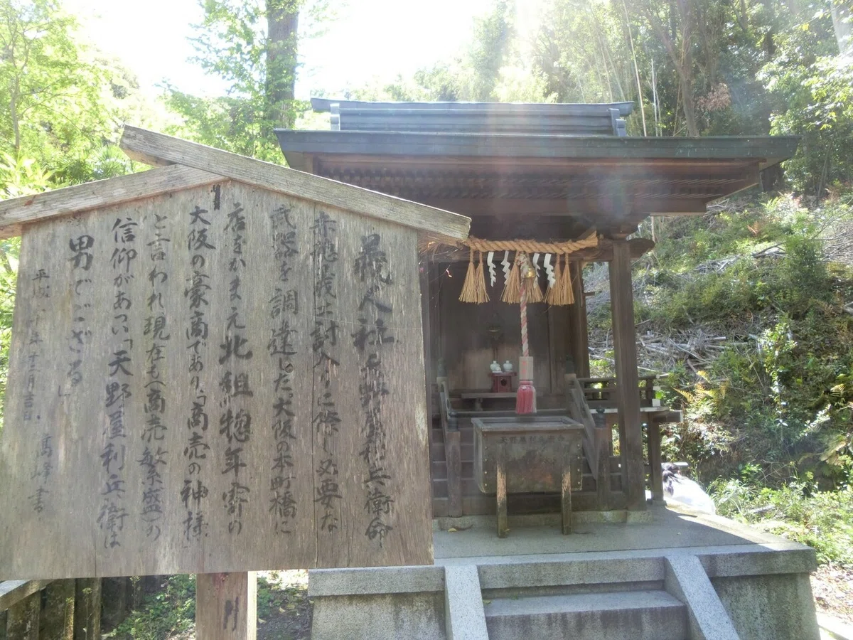画像6