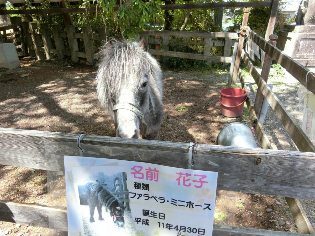 画像7