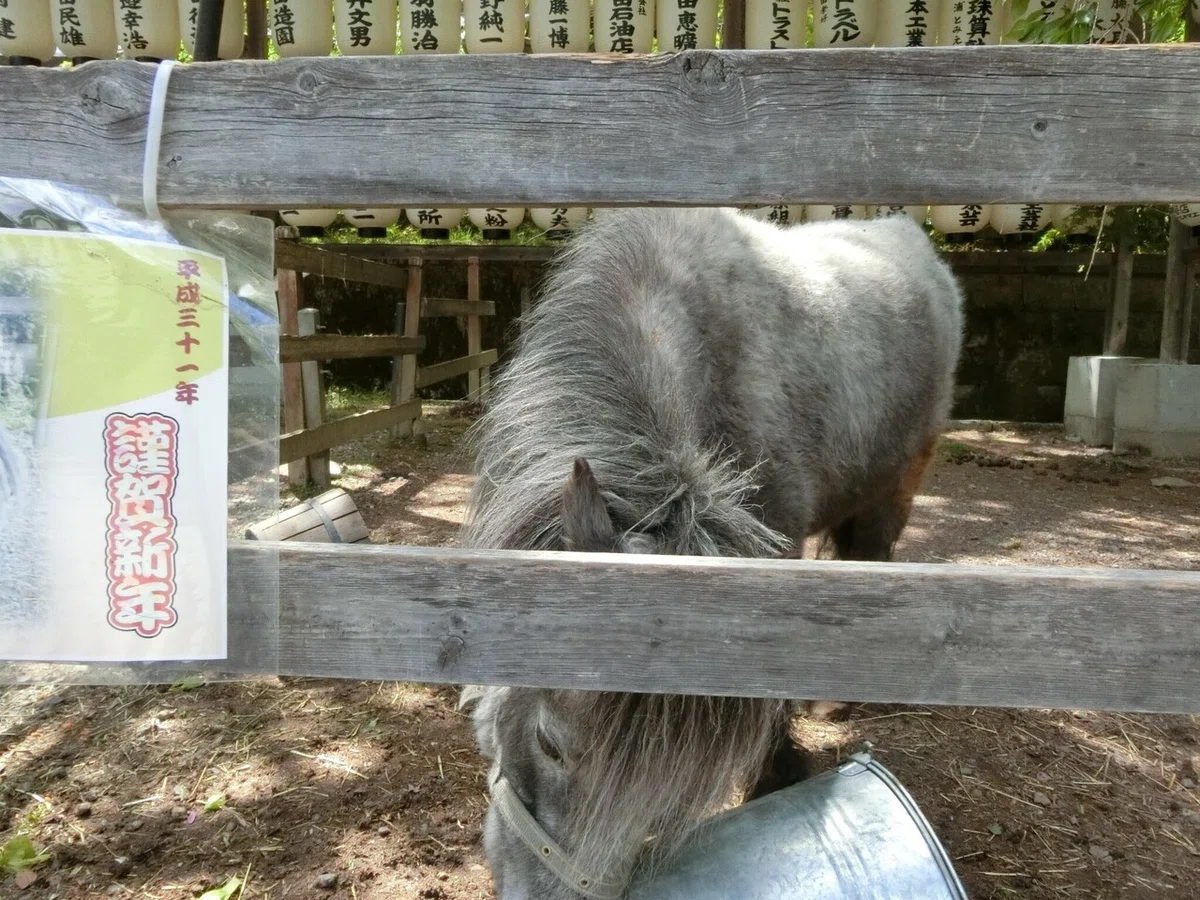 画像12