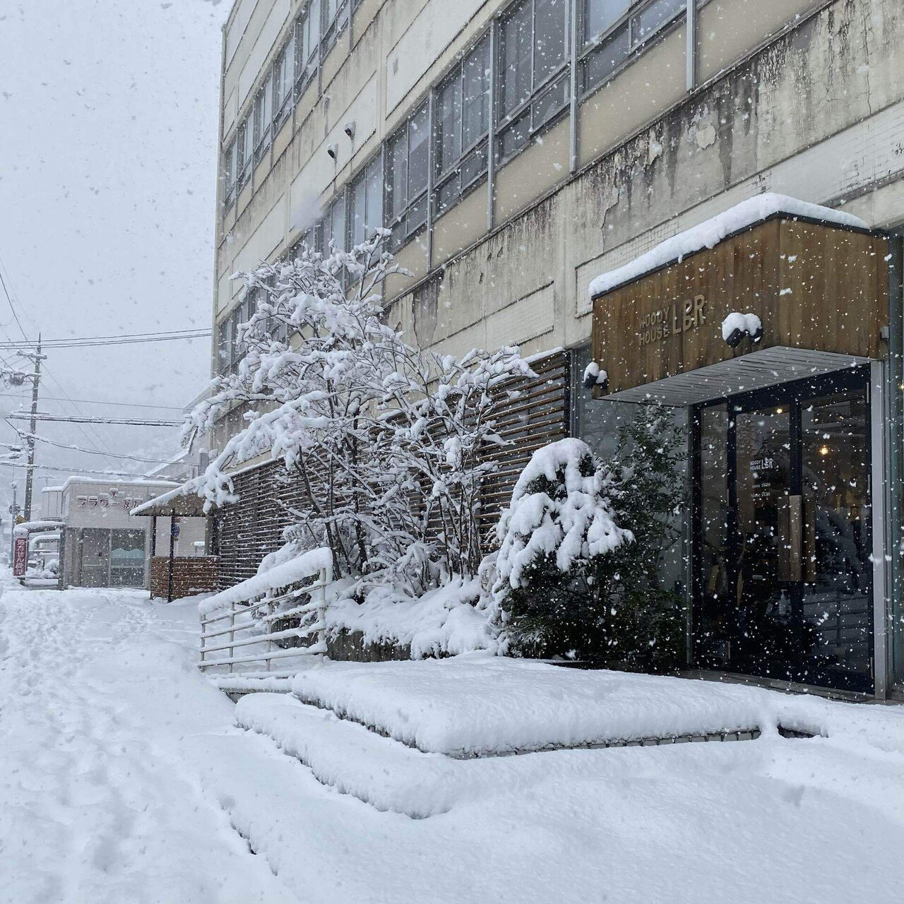 近藤ニットメーカーが手がけるevam evaの2022年春。｜lbr_kyoto