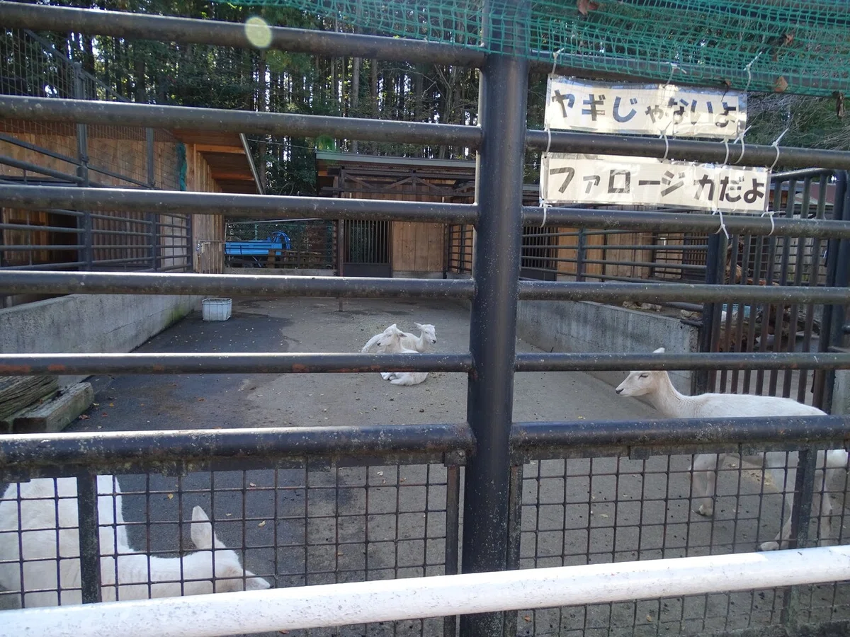 画像103