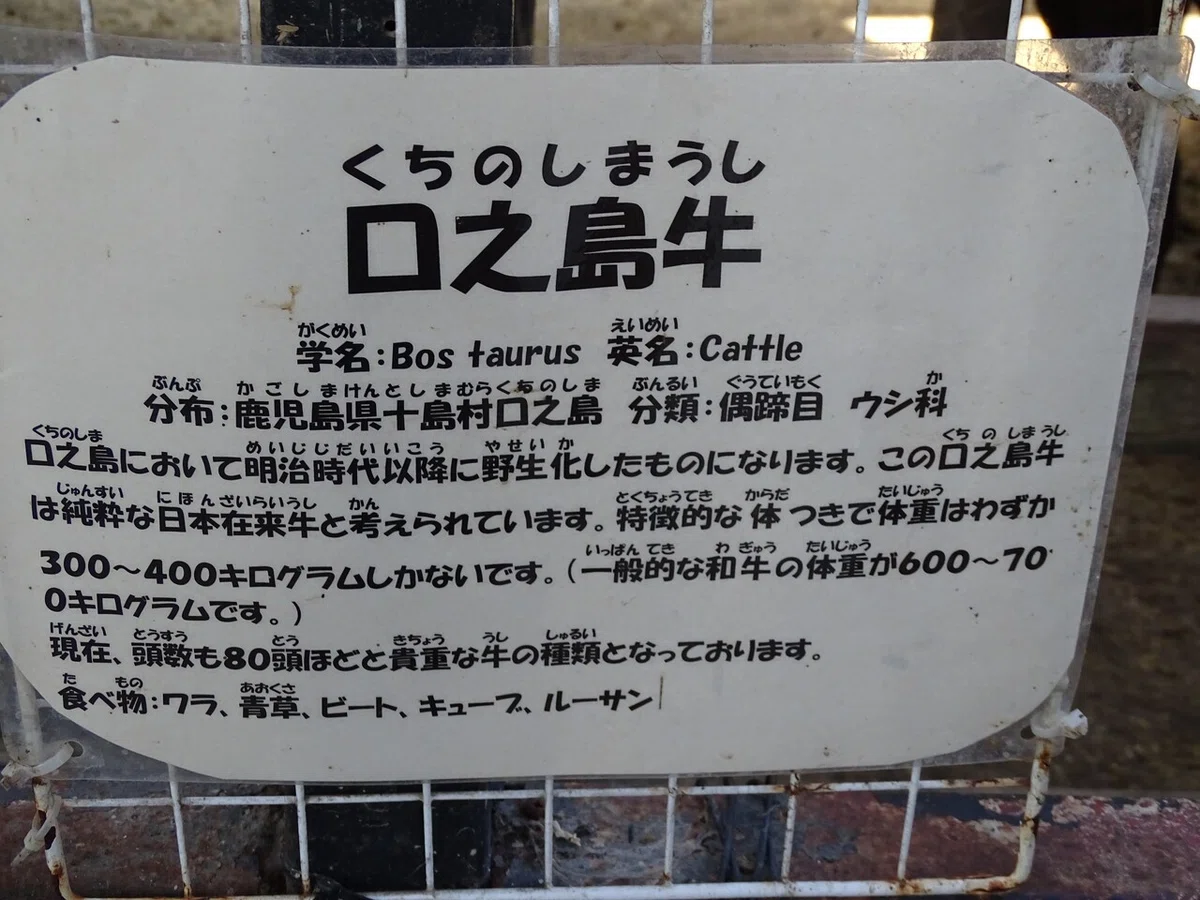 画像115