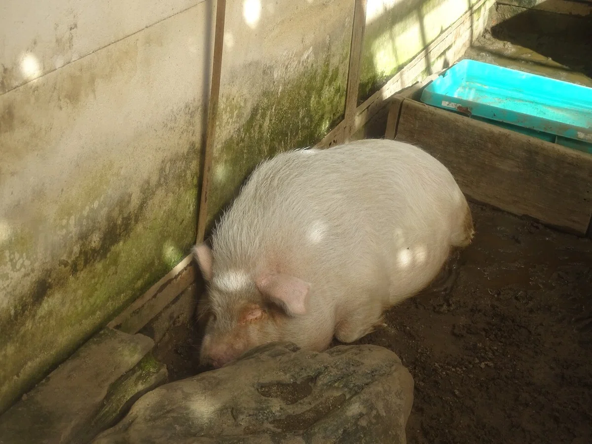画像110