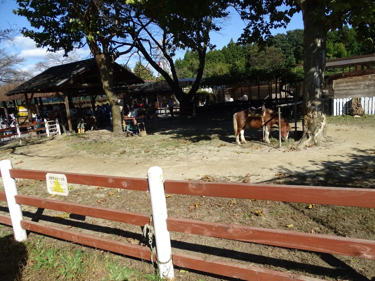 画像145