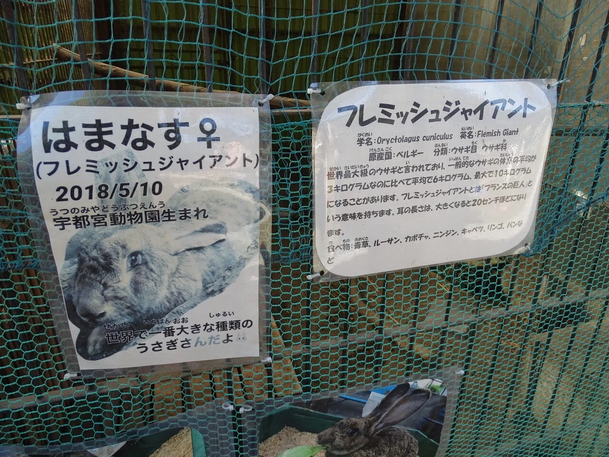 画像144