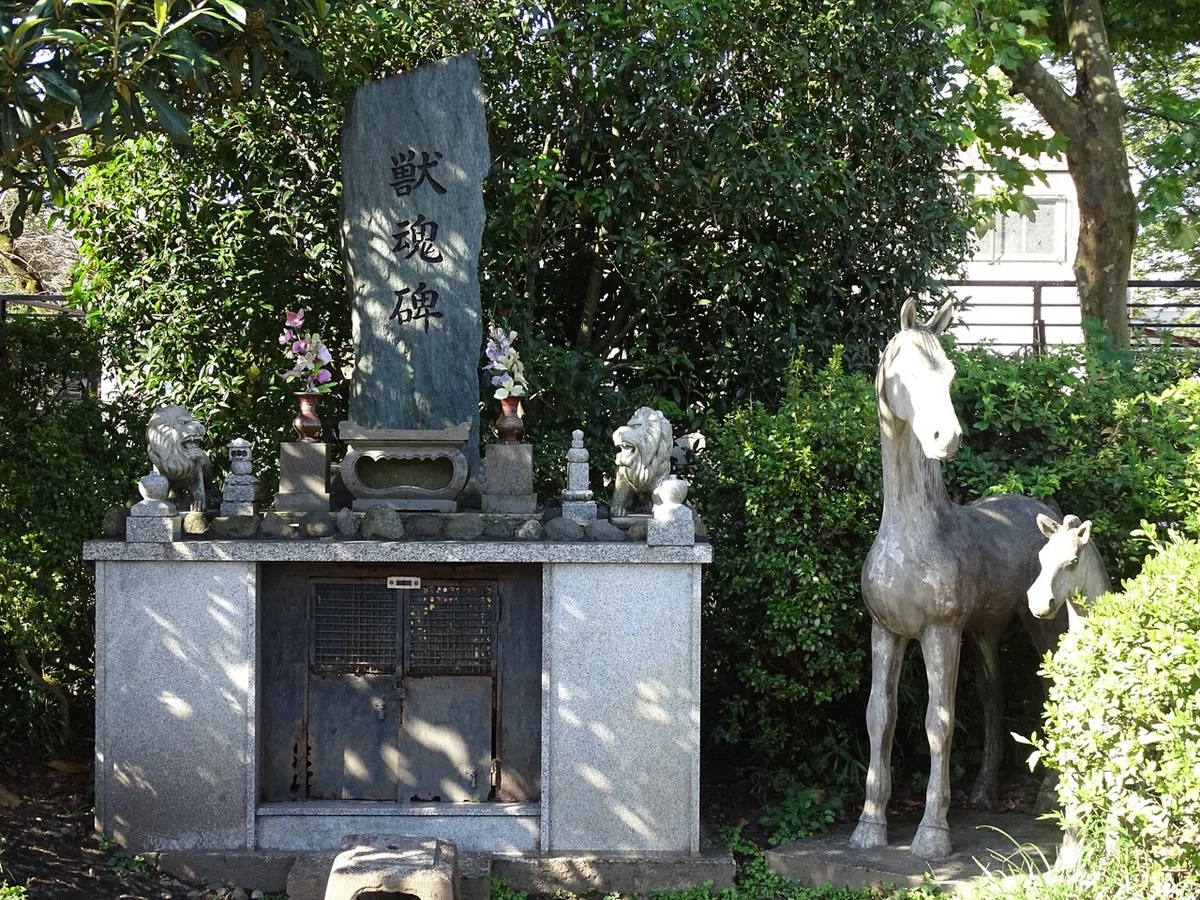 画像131