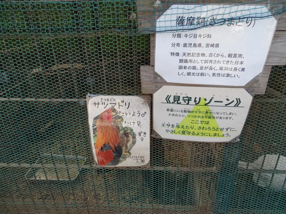 画像142