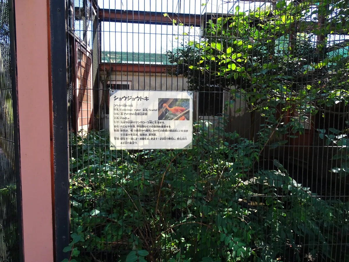画像121