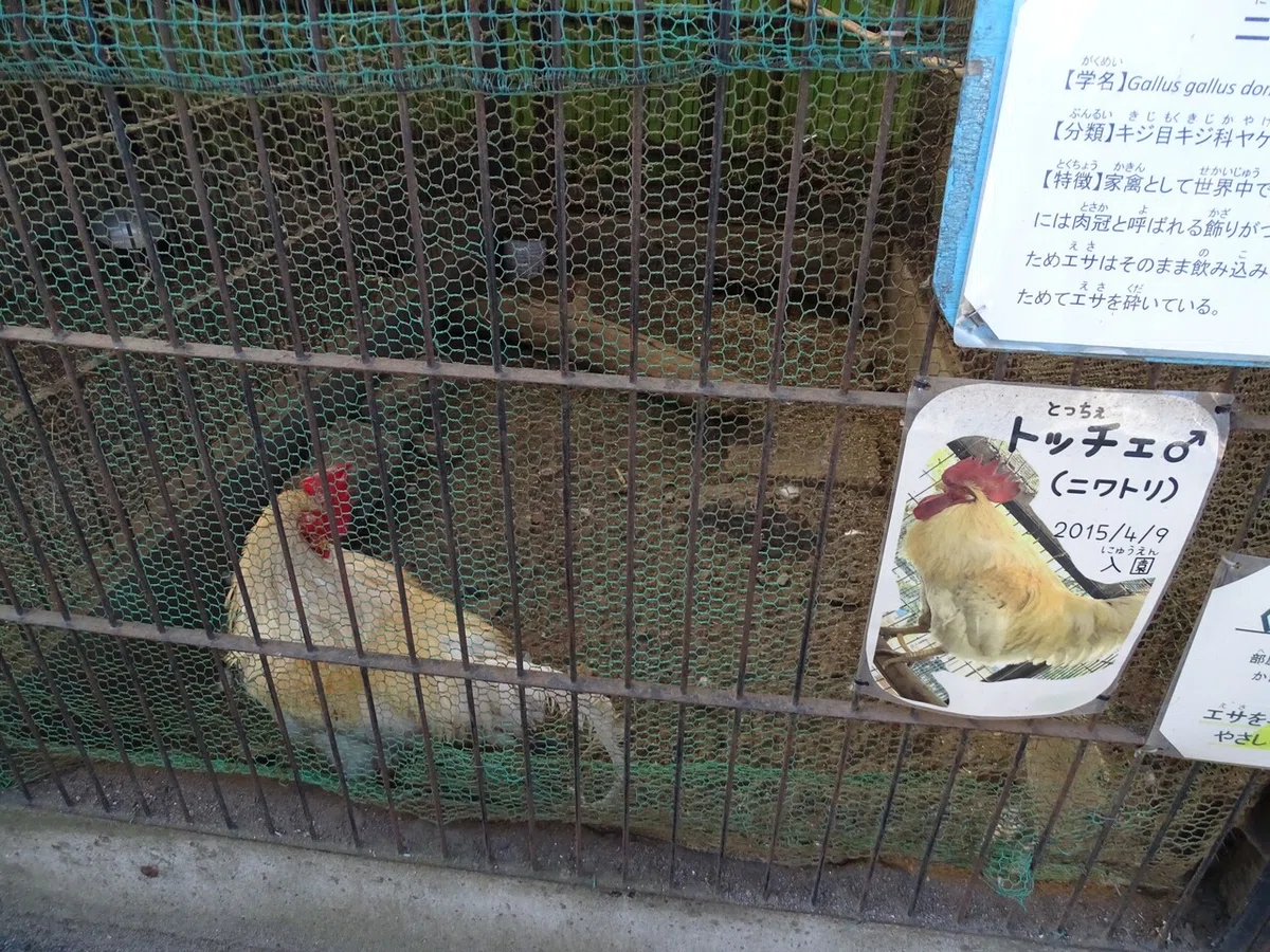 画像141