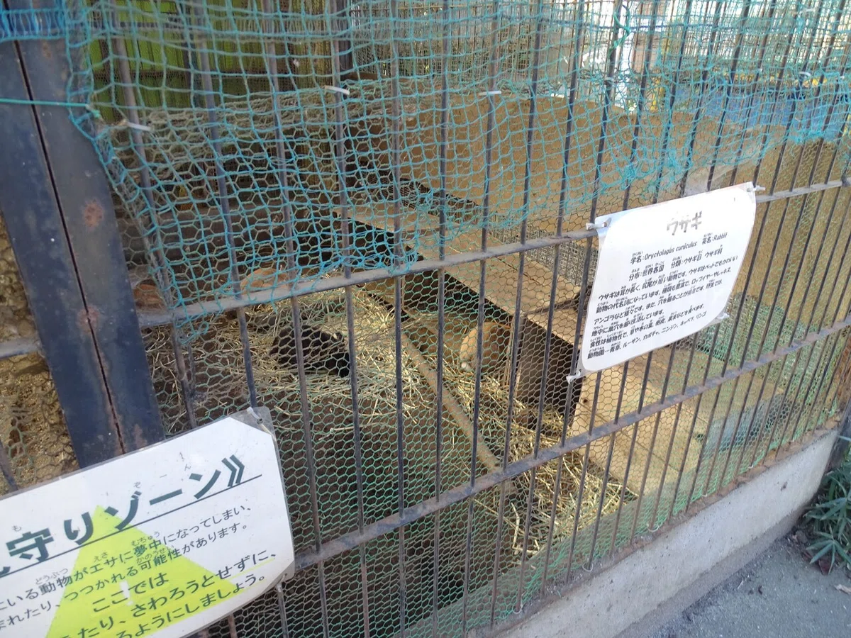 画像140