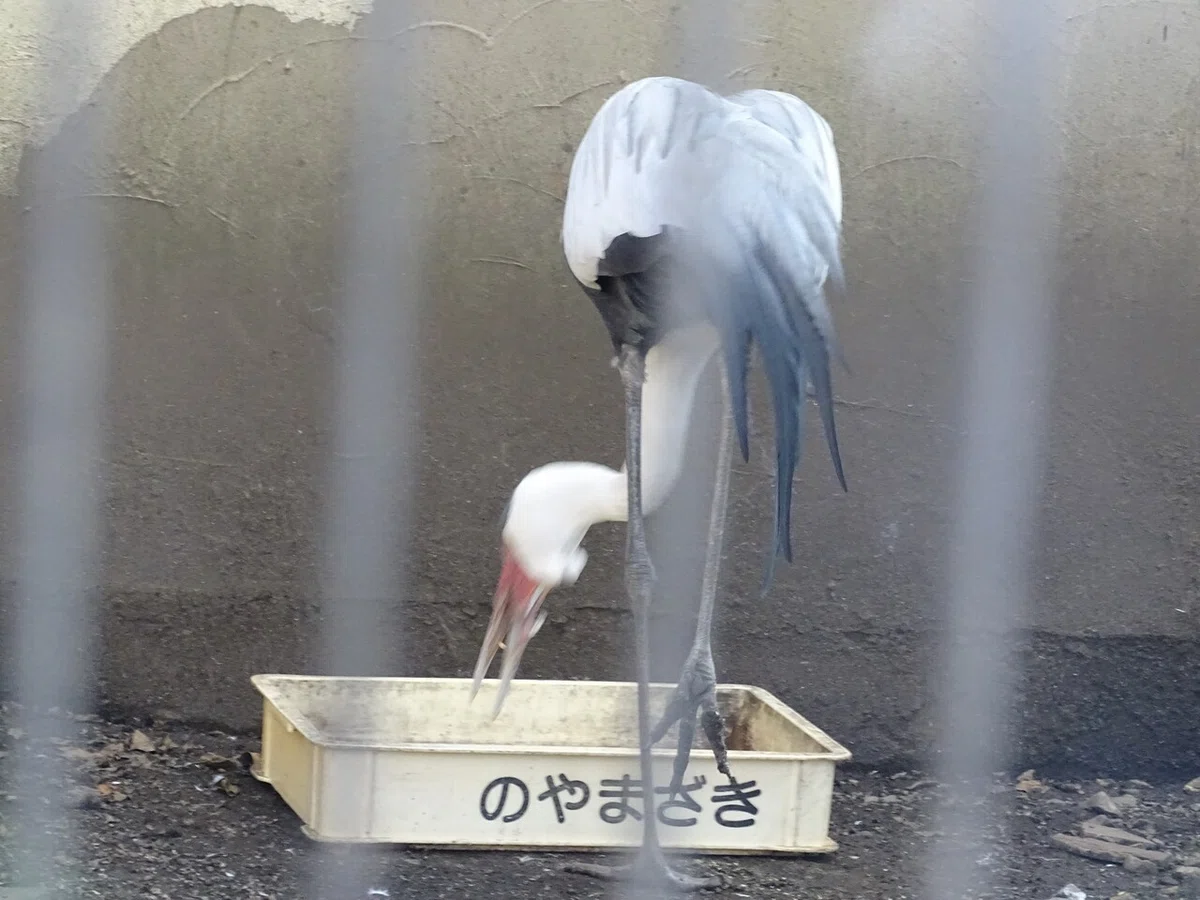 画像150