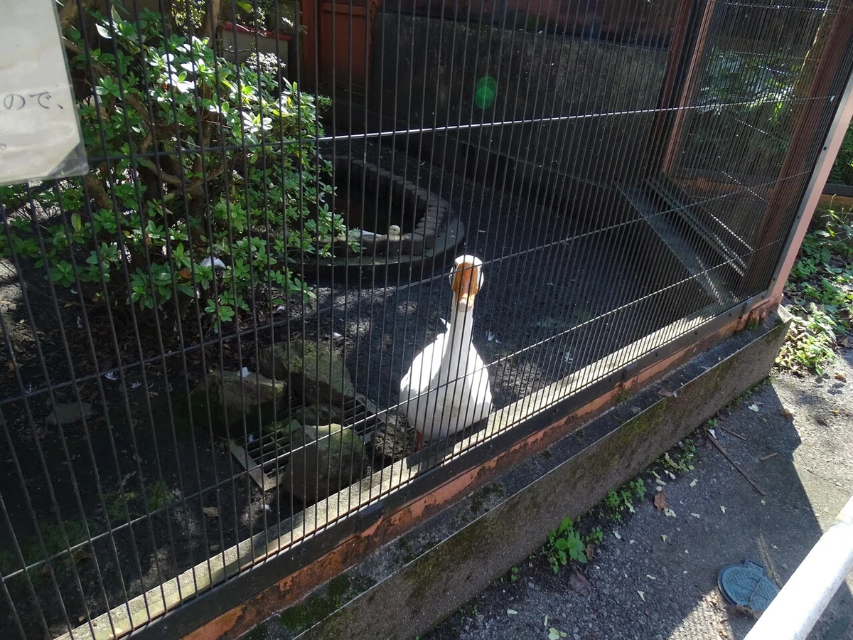 画像148
