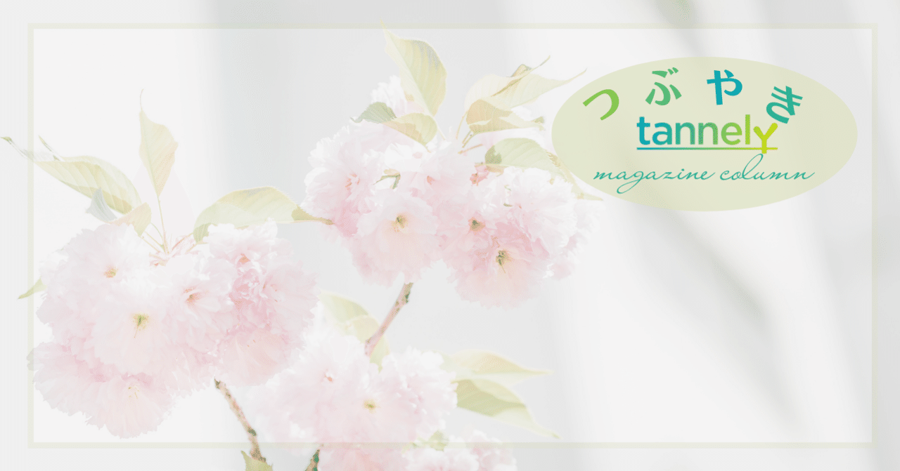 つぶやきtannely 妊活 産み分けについて Tannely タネリー Note