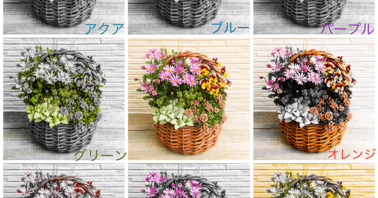 補色を使えばズボラさんでも簡単！明るい寄せ植えを作って春を感じて