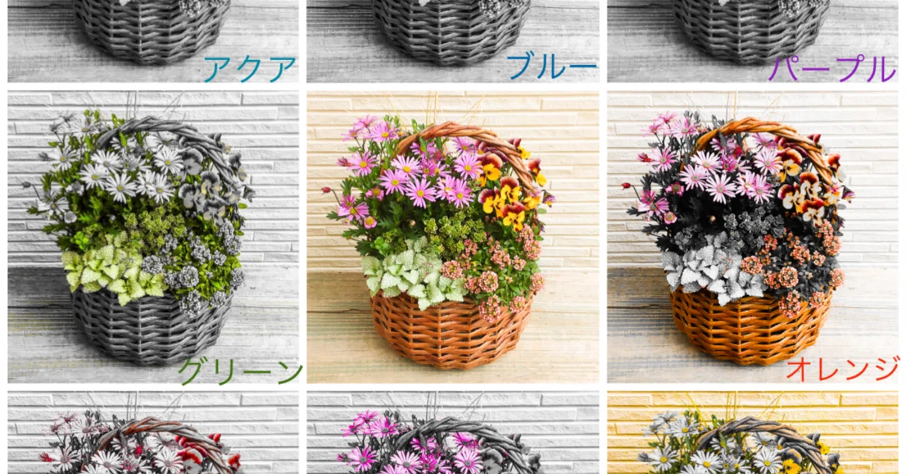 補色を使えばズボラさんでも簡単！明るい寄せ植えを作って春を感じて