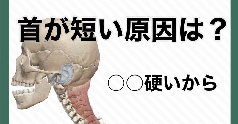お顔の整体師 戸塚哲春の22年2月のノート Note
