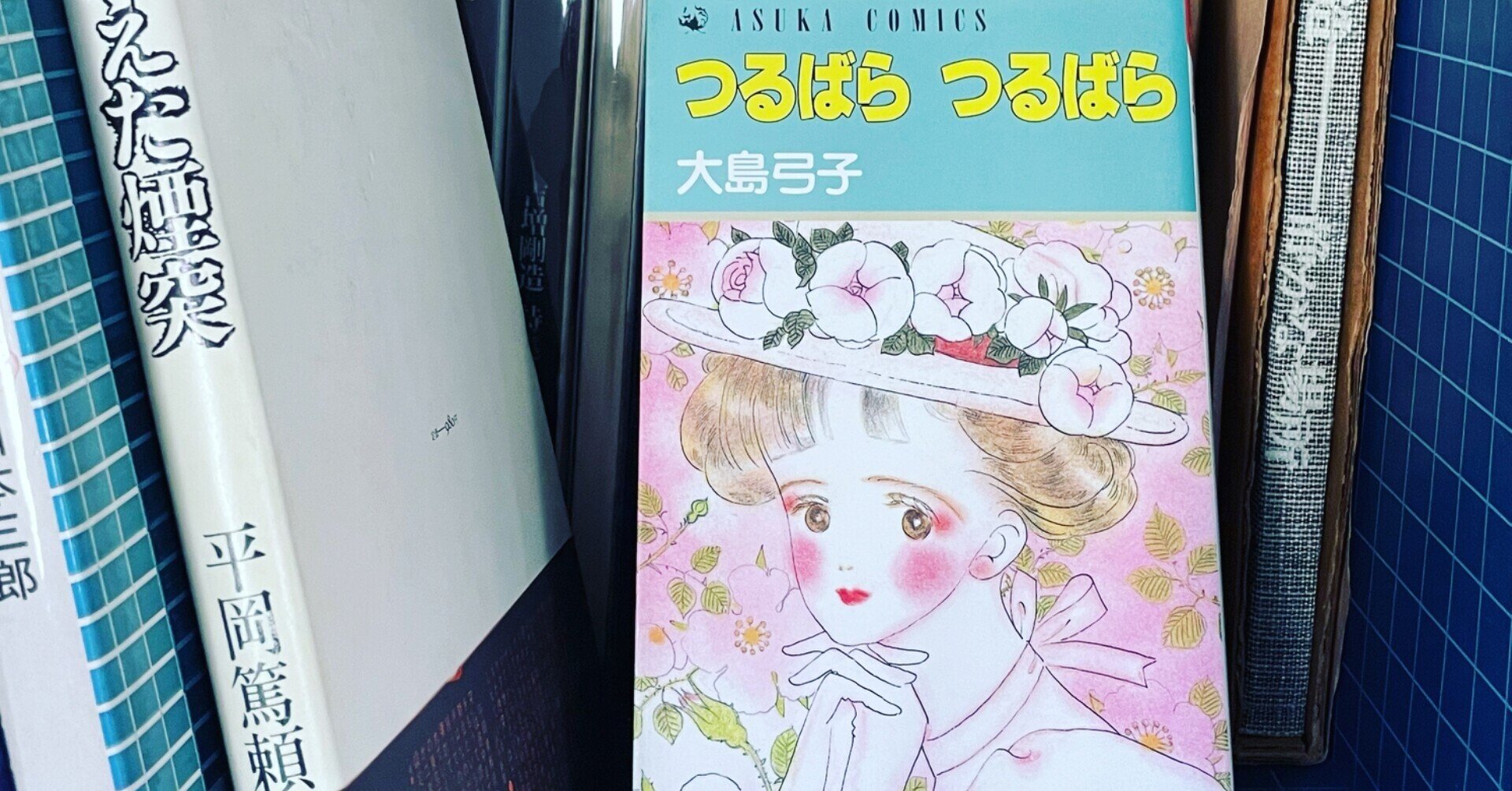大島弓子 つるばらつるばら 緒 真坂 Itoguchi Masaka Note