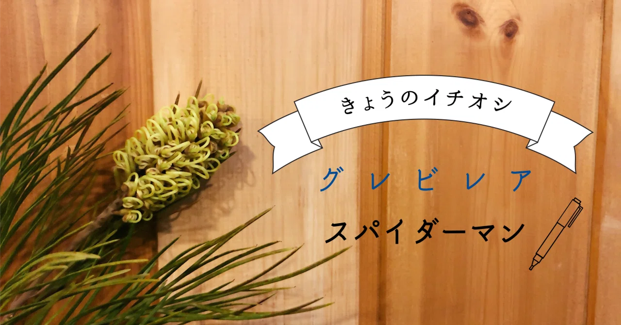 △2022.2.25 きょうのイチオシ△｜木の下の花屋 Kazamidori