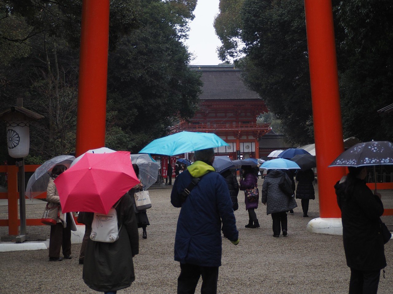 下鴨神社】八咫烏神になる夢を見る、小さなカラスを見つけた