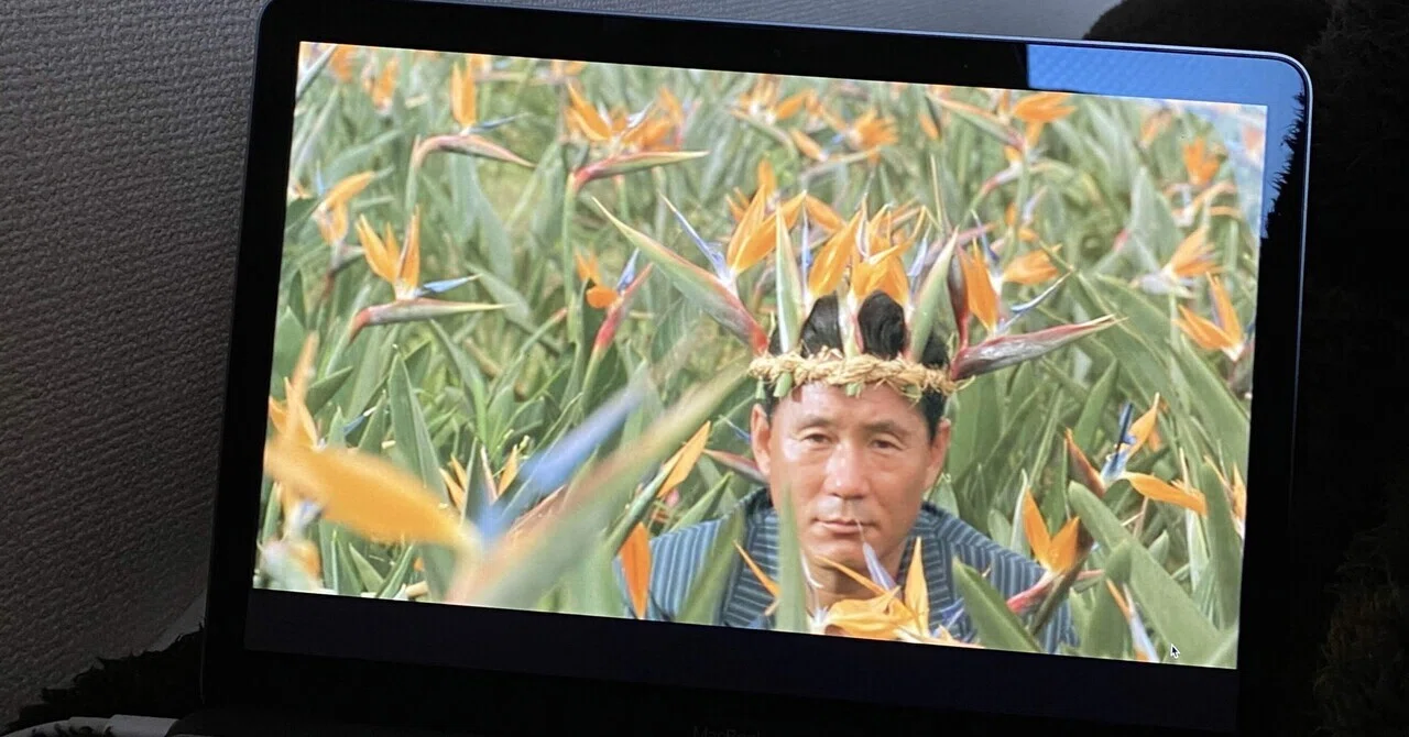 映画作家としての北野武：『その男、凶暴につき』｜大成 海