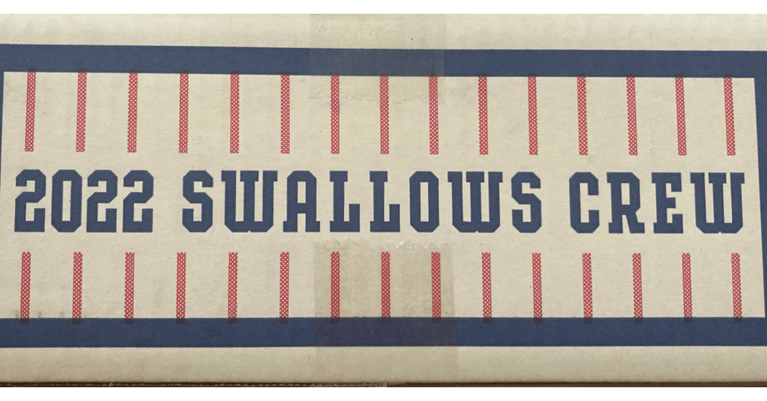 【㊗️10周年 】Swallows CREWの会員特典が届いたから開封してく‼️｜たね@スワローズ＆コスメときどきBL