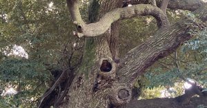 中川智正伝」を読む｜Mitsuki takayama