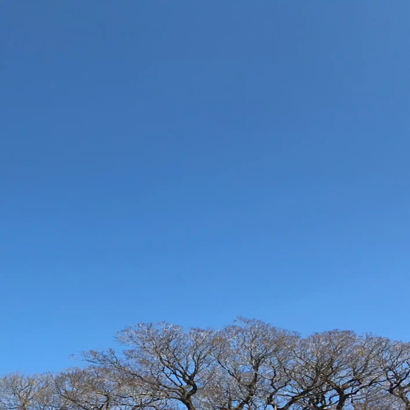 そらすきー